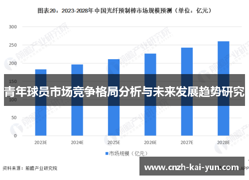 青年球员市场竞争格局分析与未来发展趋势研究