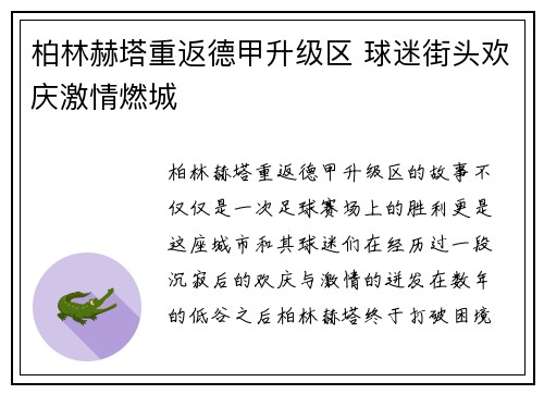 柏林赫塔重返德甲升级区 球迷街头欢庆激情燃城
